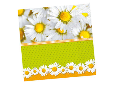 Salvrätikud 33x33cm 20tk 3 kihiline Cute and Pretty