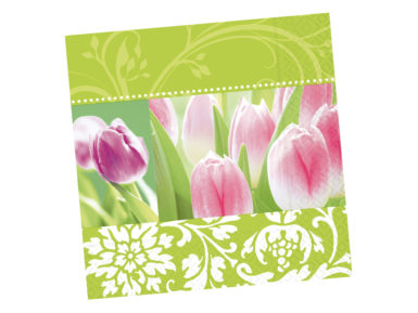 Salvrätikud 33x33cm 20tk 3 kihiline Spring Awakening