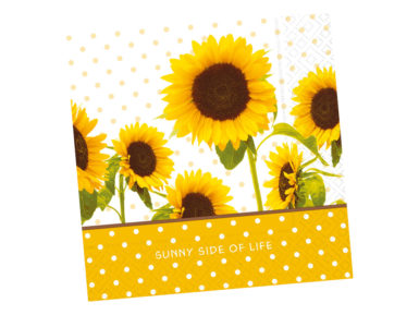 Salvrätikud 33x33cm 20tk 3 kihiline Sunny Side of Life