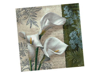 Salvrätikud 33x33cm 20tk 3 kihiline White Beauties