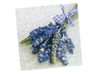 Salvrätikud 33x33cm 20tk 3 kihiline Provence