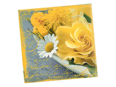 Salvrätikud 33x33cm 20tk 3 kihiline Flowers of Summer