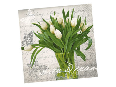 Salvrätikud 33x33cm 20tk 3 kihiline White Dream