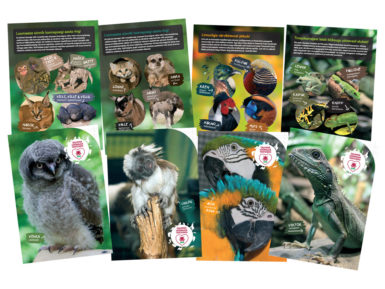 Vihik Tallinna Loomaaed 12 lehte abijoon assortii