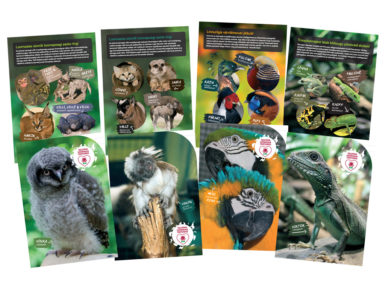 Vihik Tallinna Loomaaed 12 lehte 16 joont assortii