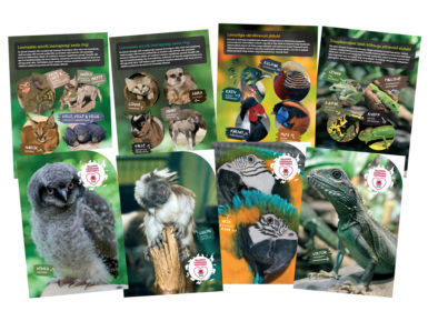 Vihik Tallinna Loomaaed 12 lehte 20 joont assortii