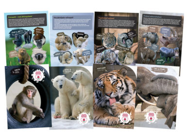 Vihik Tallinna Loomaaed 12 lehte 5×5 ruut assortii