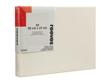 Lõuend raamil Reeves puuvillane 5F 35x27cm3tk