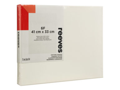 Lõuend raamil Reeves puuvillane 6F 41x33cm3tk