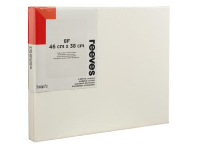 Lõuend raamil Reeves puuvillane 8F 46x38cm3tk