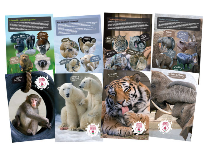 Exercise book Tallinna Loomaaia Toetuseks 36 sheets