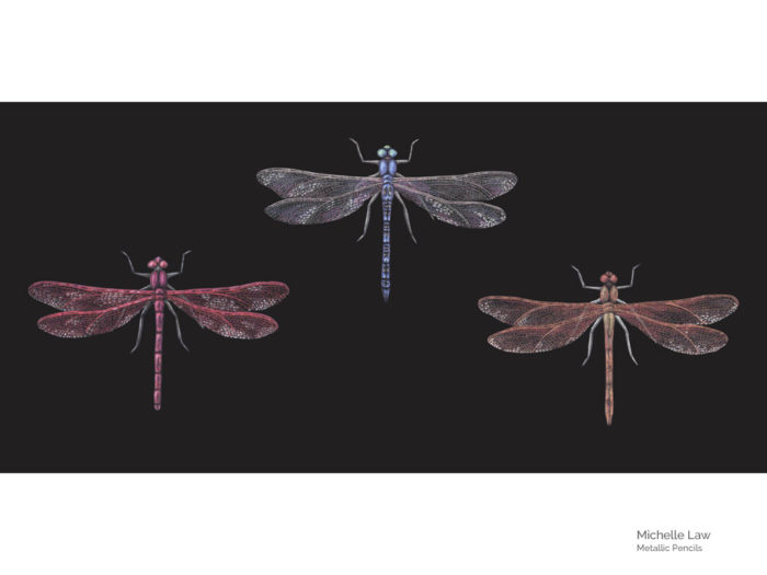 Krāsianie zīmuļi Derwent Metallic - 2/2