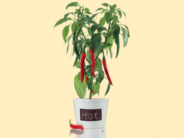 Tāfeles krāsas Marabu Colour your Dreams 225ml - 4/4